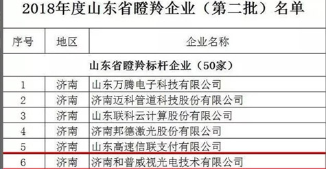 濟南和普威視成功入選山東省“瞪羚企業(yè)”